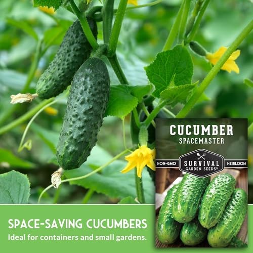 Spacemaster Cucumber Seeds for Planting | Compact Heirloom Non-GMO Variety 1