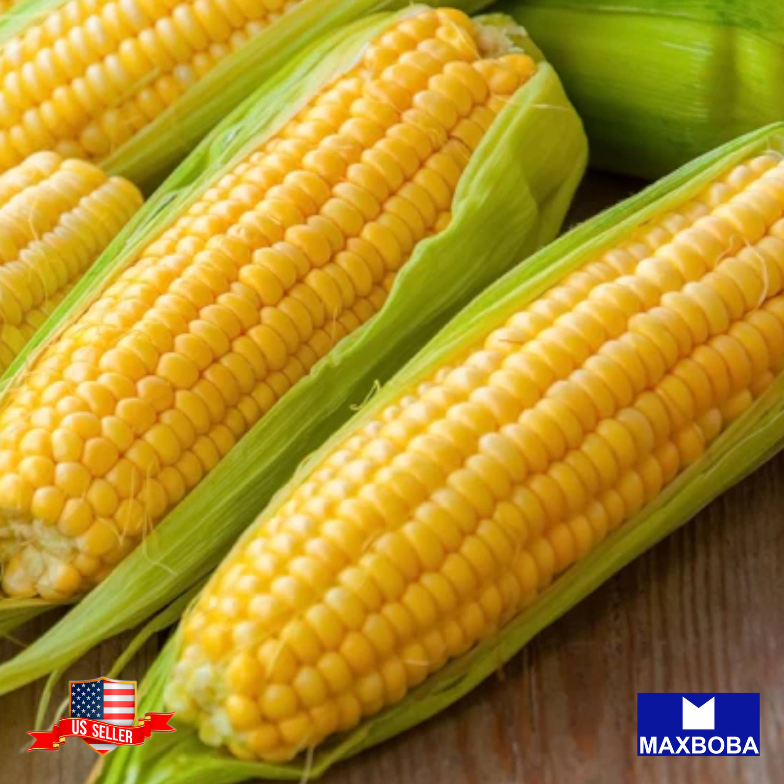 Corn Fresh Seeds (op) Sweet – Golden Bantam – Non-GMO Heirloom Vegetable Garden