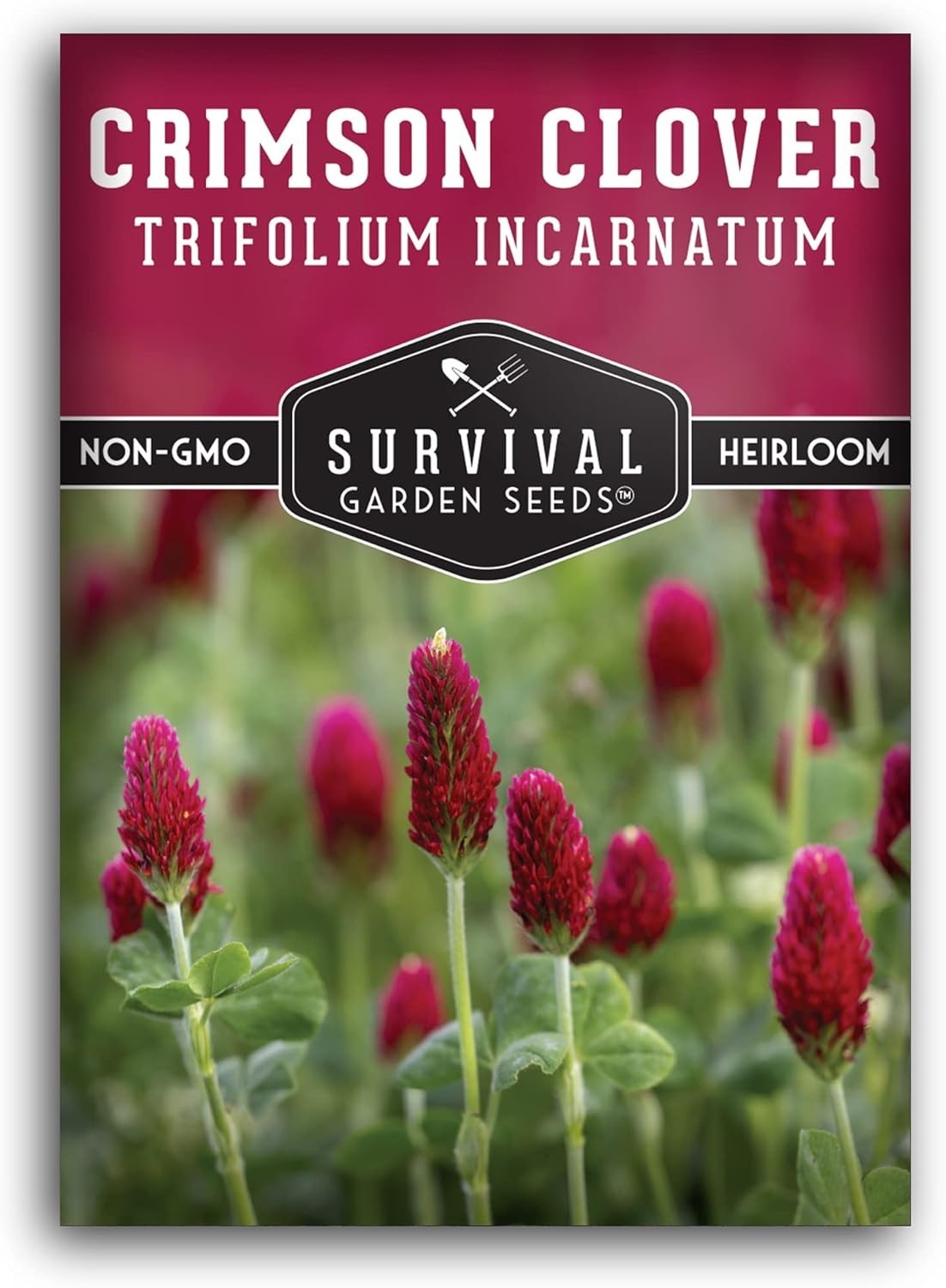 1 Packet of Crimson Clover Seed – Non-GMO Heirloom for Easy Planting & Blooming