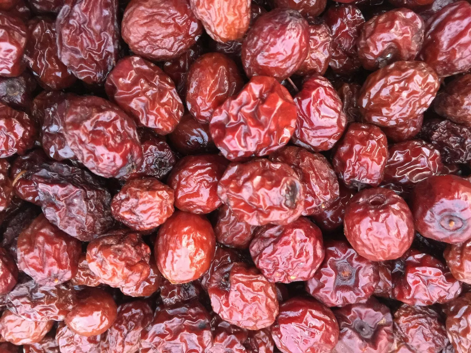 Jujube Fruit Tree superfruit Ziziphus jujube Fast Growing 10 SEEDS USA POST