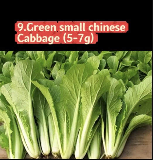 Asian Vegetable Seeds Survival Garden Kit -9 Varieties Spring & Autumn Seeds