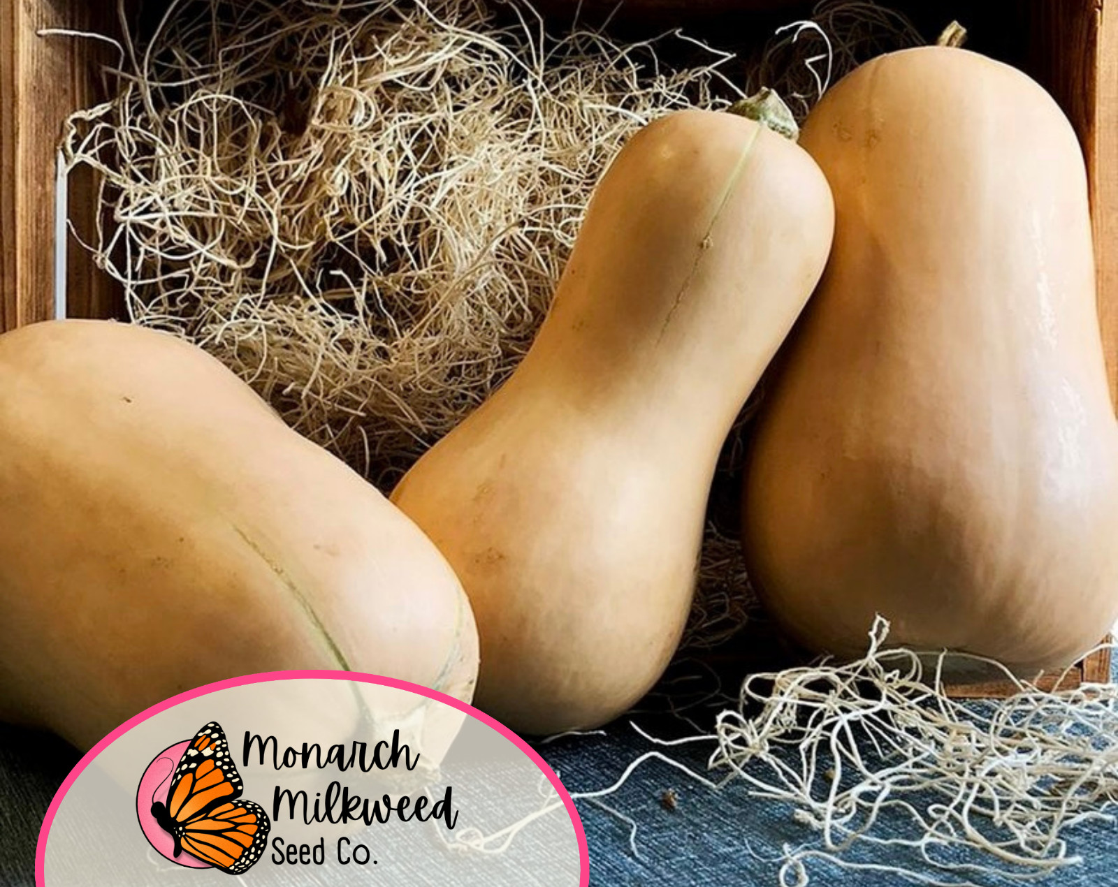 75+ Butternut Squash Seeds | Heirloom, Non-GMO, Vegetable Gardening Seed Packet