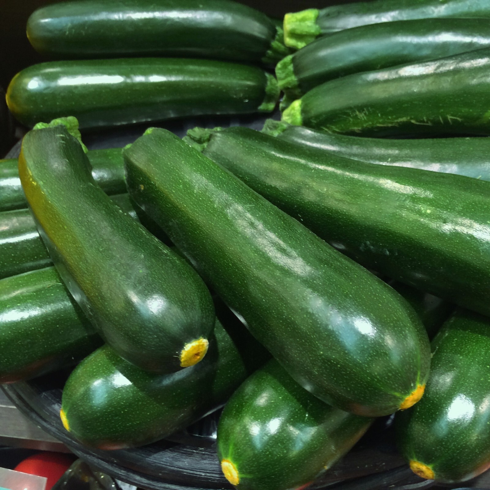 Zucchini Seeds, Dark Green Heirloom, Non-GMO, Organic, High Yield, Free Shipping
