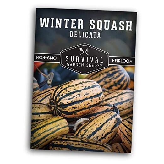 – Delicata Winter Squash Seed for Planting – Packet with Instructions to 1