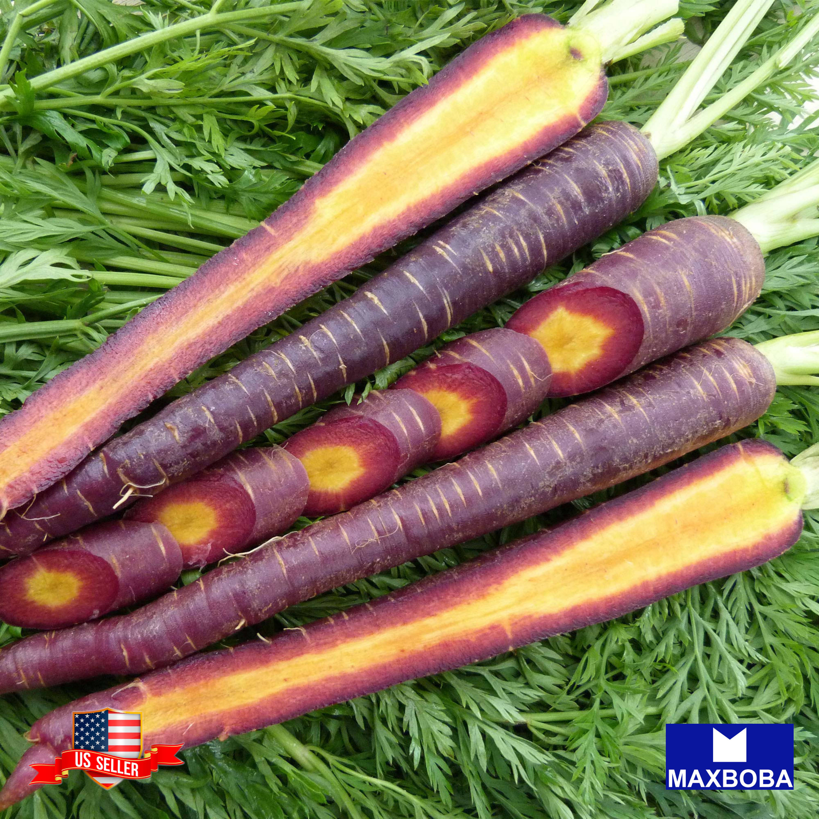 Carrot Seeds Cosmic Purple Organic Non-GMO Heirloom
