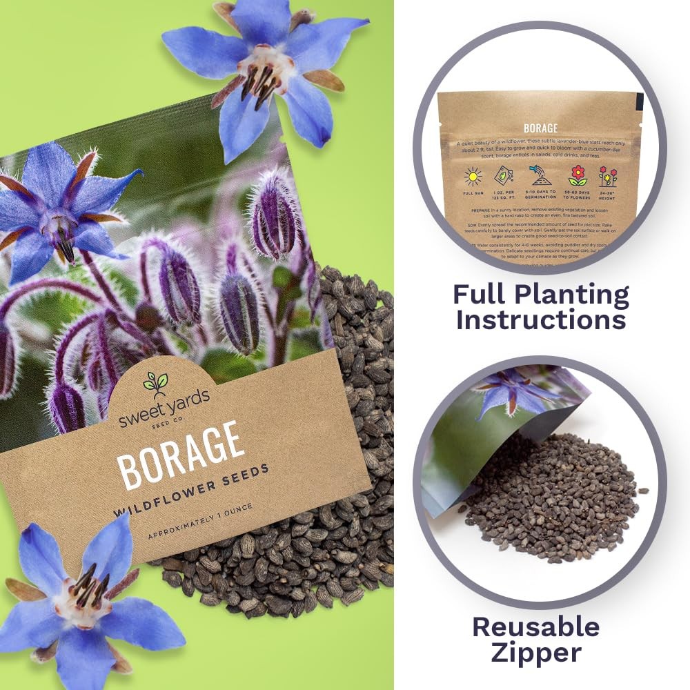 1200 PCS Borage Seeds Extra Large Open Pollinated Wildflower NonGMO Plant