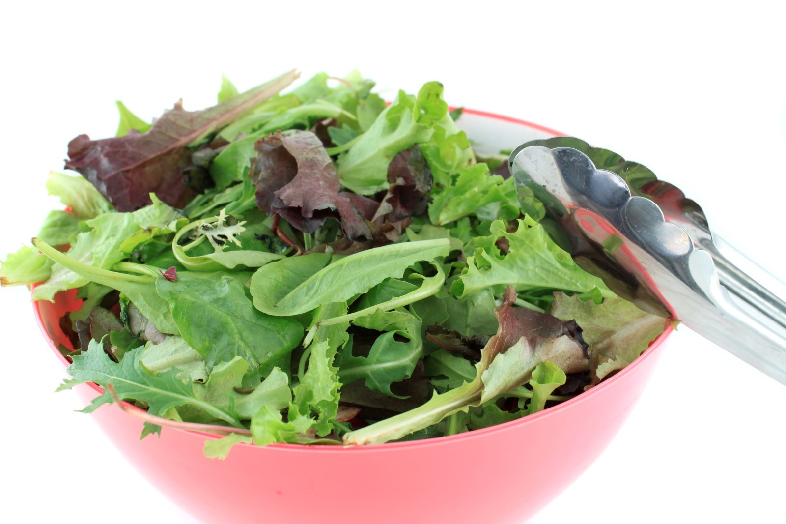 Organic Black Seeded Simpson Lettuce Seeds