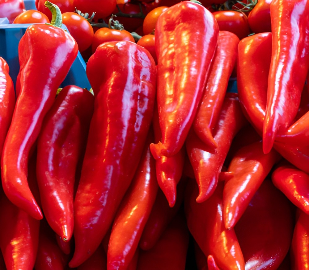 100ct Heirloom Sweet Cascadura Pepper Seeds – 6″ High Yield Sweet Pepper No Heat