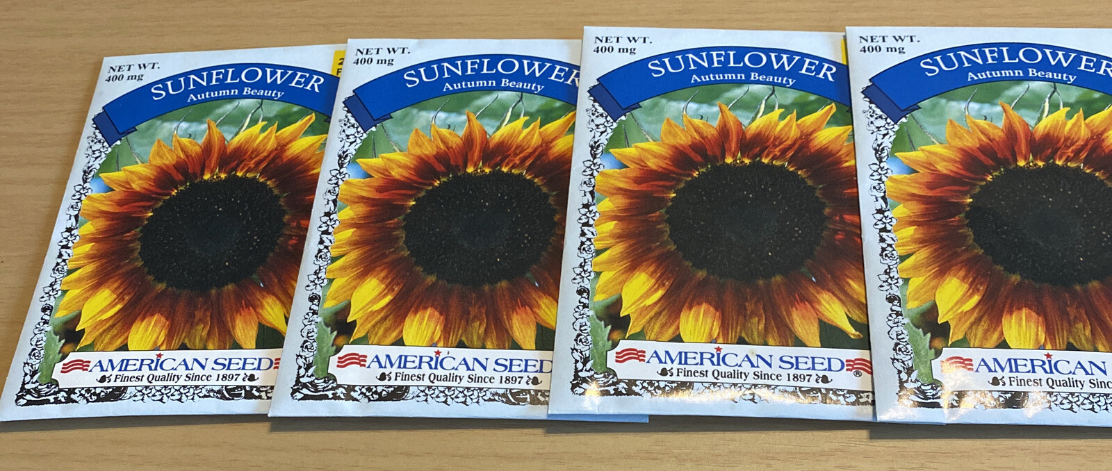 Sunflower Seeds lot of 4 Autumn Beauty American seed packed for 2022 new