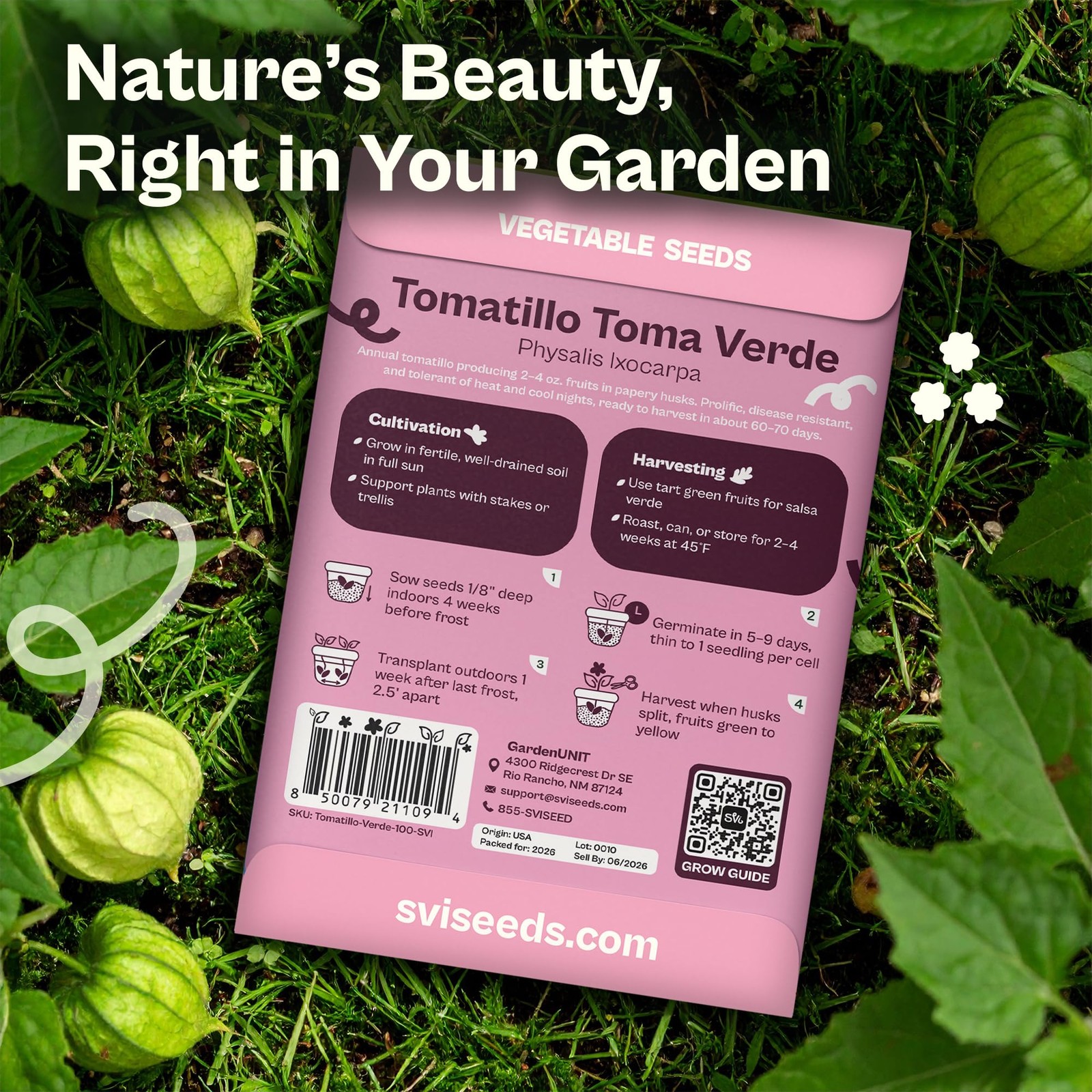 SVI 100 Toma Verde Tomatillo Seeds for Planting Physalis ixocarpa – Mexican T…