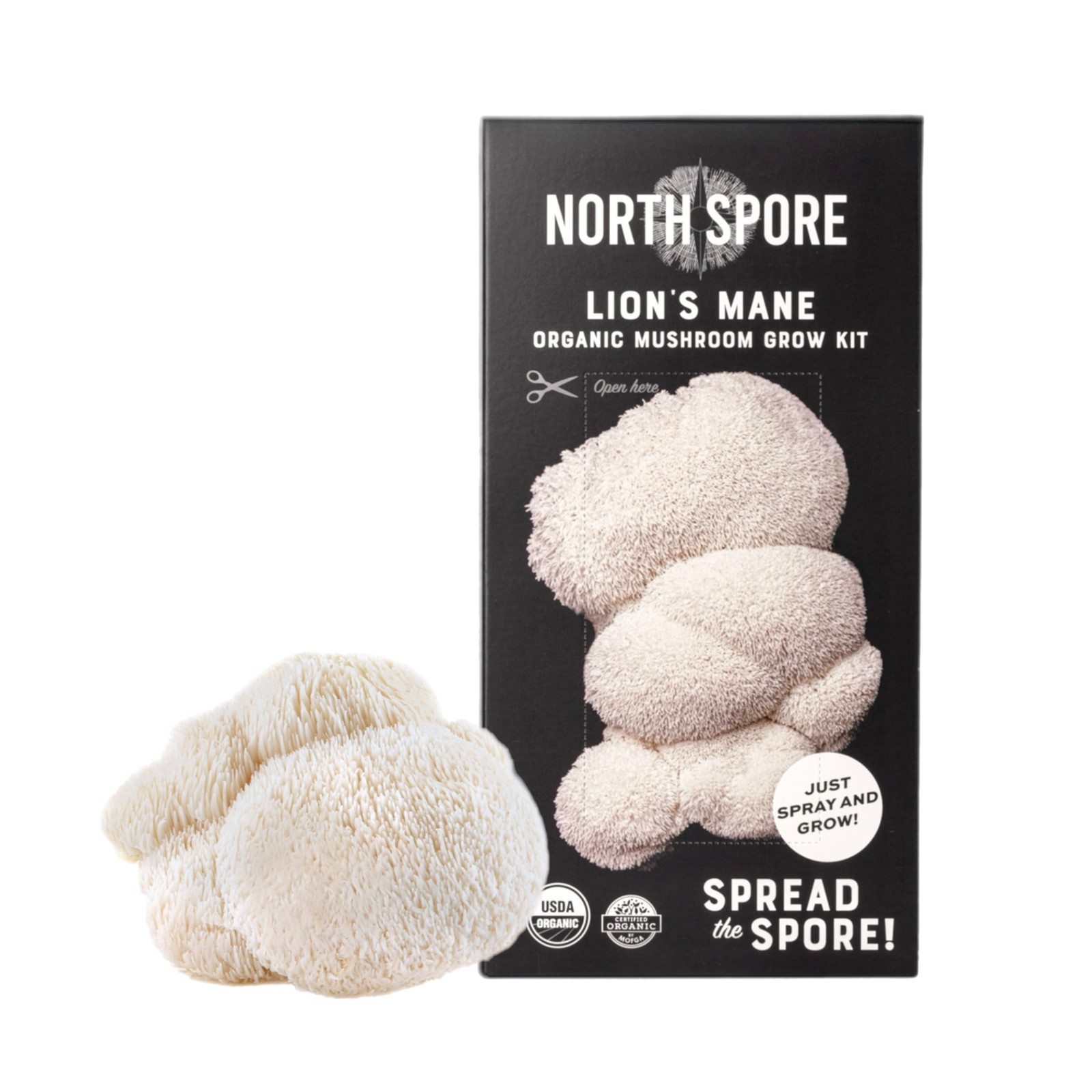 Organic Lion’s Mane Mushroom Spray & Grow Kit (4 lbs) | USDA-Certified Organi…