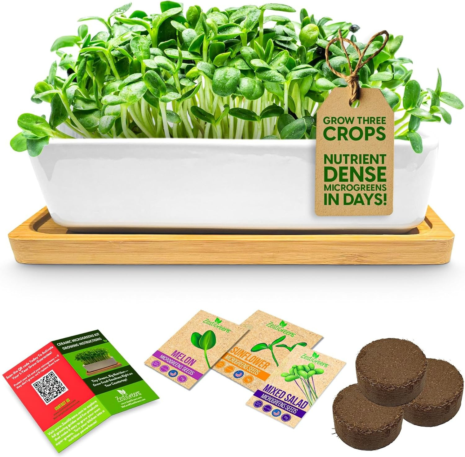 Microgreens Growing Kit Ceramic Planter with Organic Sunflower Melon Seeds