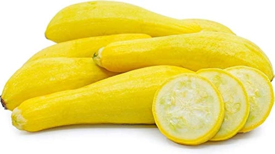 20+ seeds, Yellow Straightneck Summer Squash, Open pollinated,Heirloom, Non-GMO