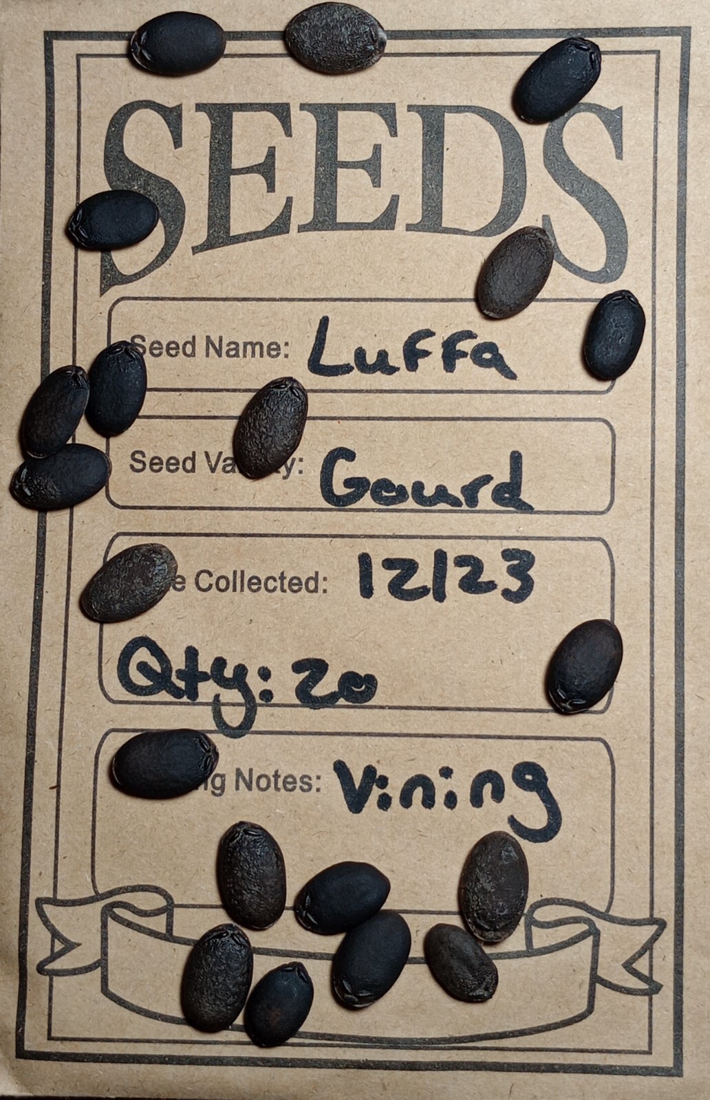 Luffa Gourd Seeds 20 Count Heirloom And Organic