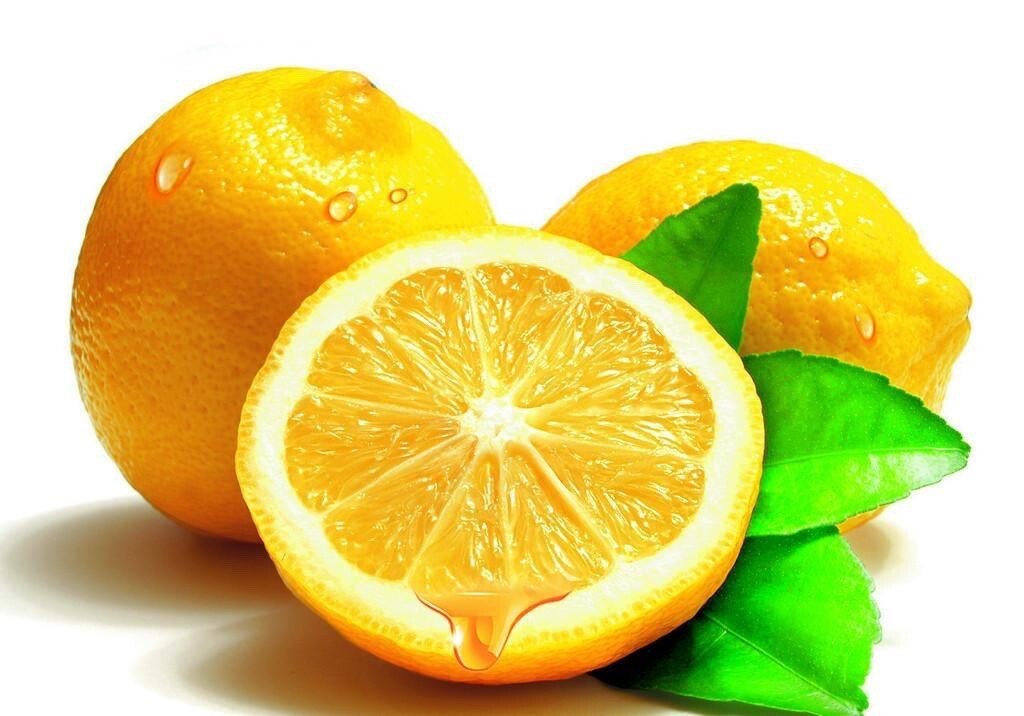 20 SEEDS for LEMON/LIME MIX citrus bush garden plant tree germination USA Seller