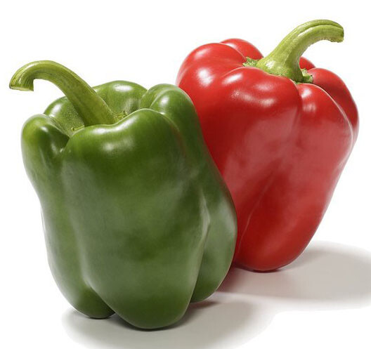 50+ California Wonder Bell Sweet pepper Seeds Heirloom Non-GMO Fresh USA