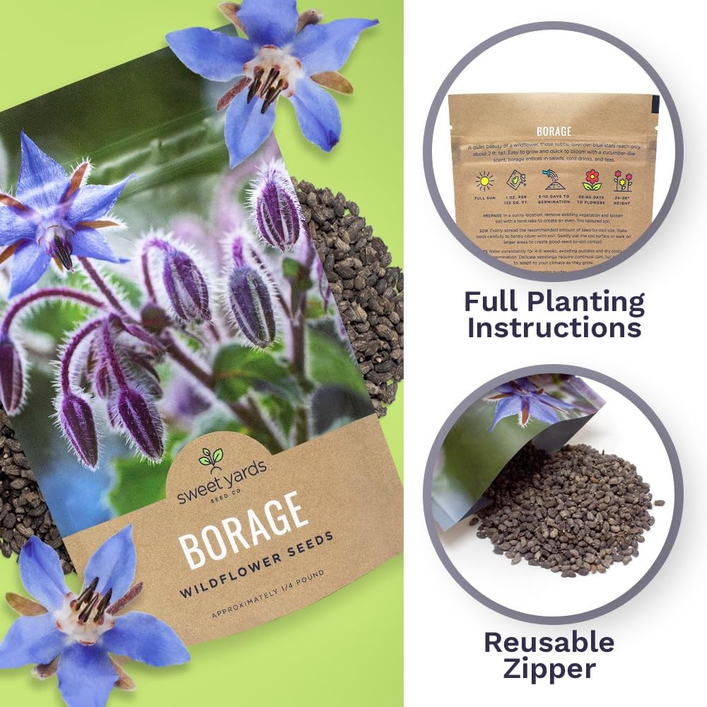 Borage Seeds Bulk 5,000+ NonGMO Open Pollinated Wildflower Seeds