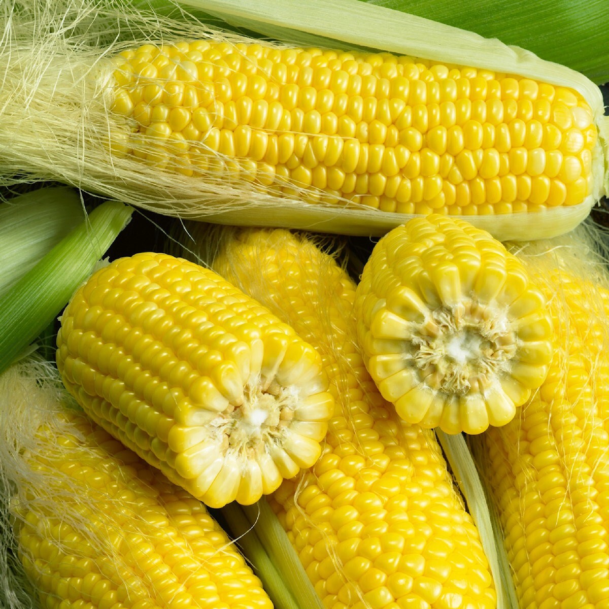 1/4 Lb Golden Bantam Corn Seeds – Everwilde Farms Mylar Seed Packet