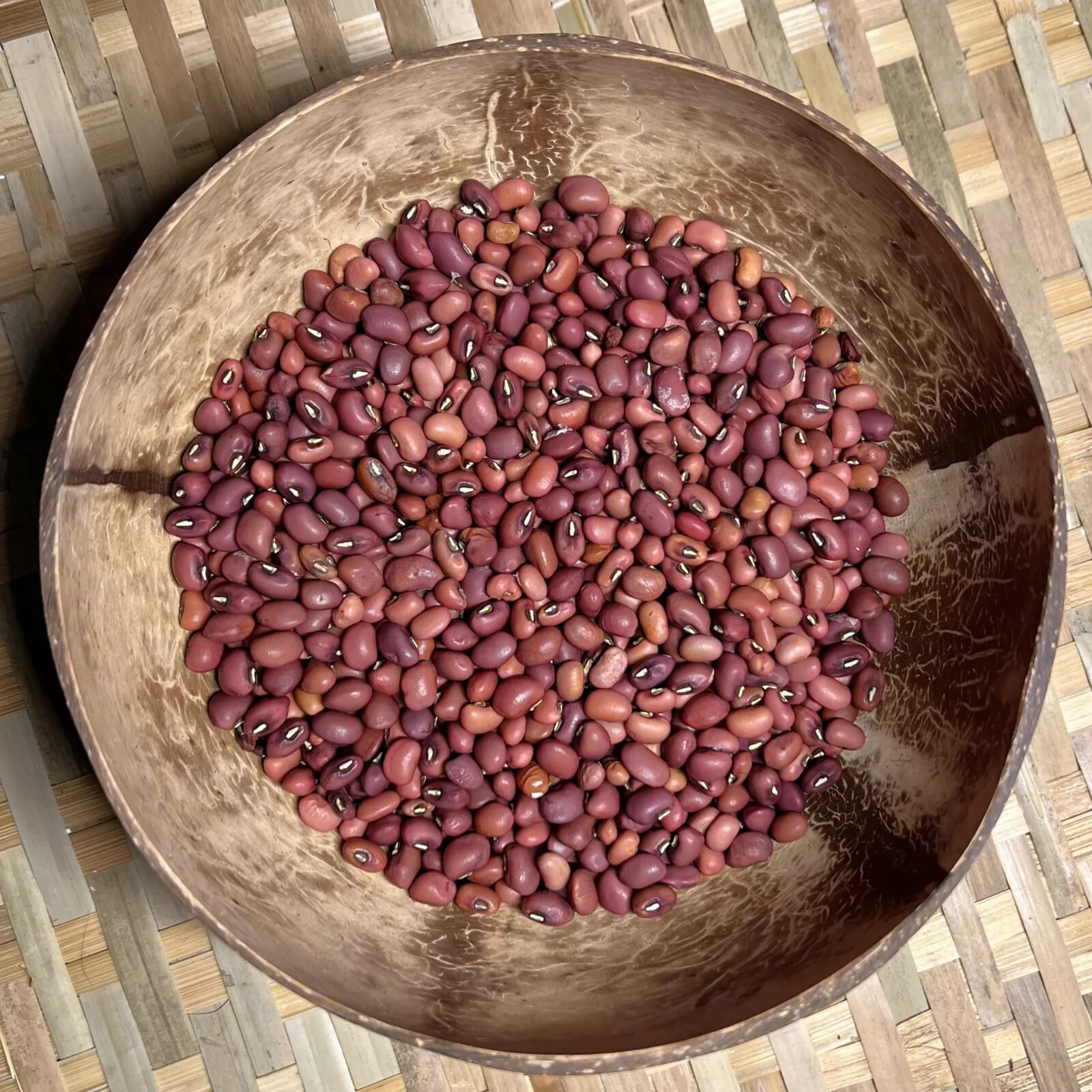 Sea Island Red Pea Seeds (25) / COWPEA / ORGANIC / HEAT TOLERANT / RARE