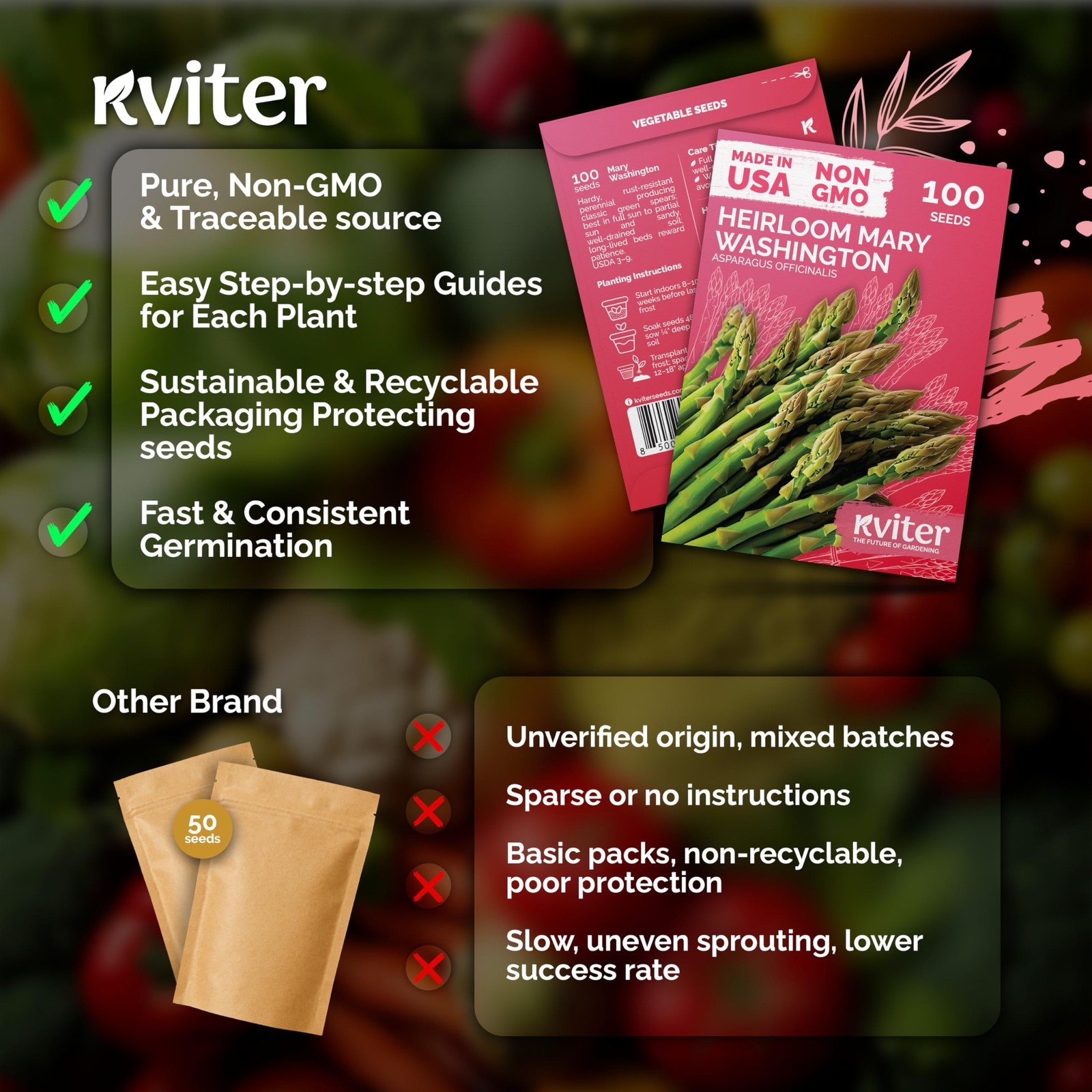 KVITER 100 Mary Washington Asparagus Seeds (Asparagus officinalis)