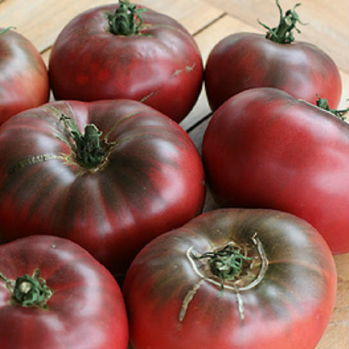 Cherokee Purple Tomato Seeds | 30 Seeds | Non-GMO | Free Shipping | 1022