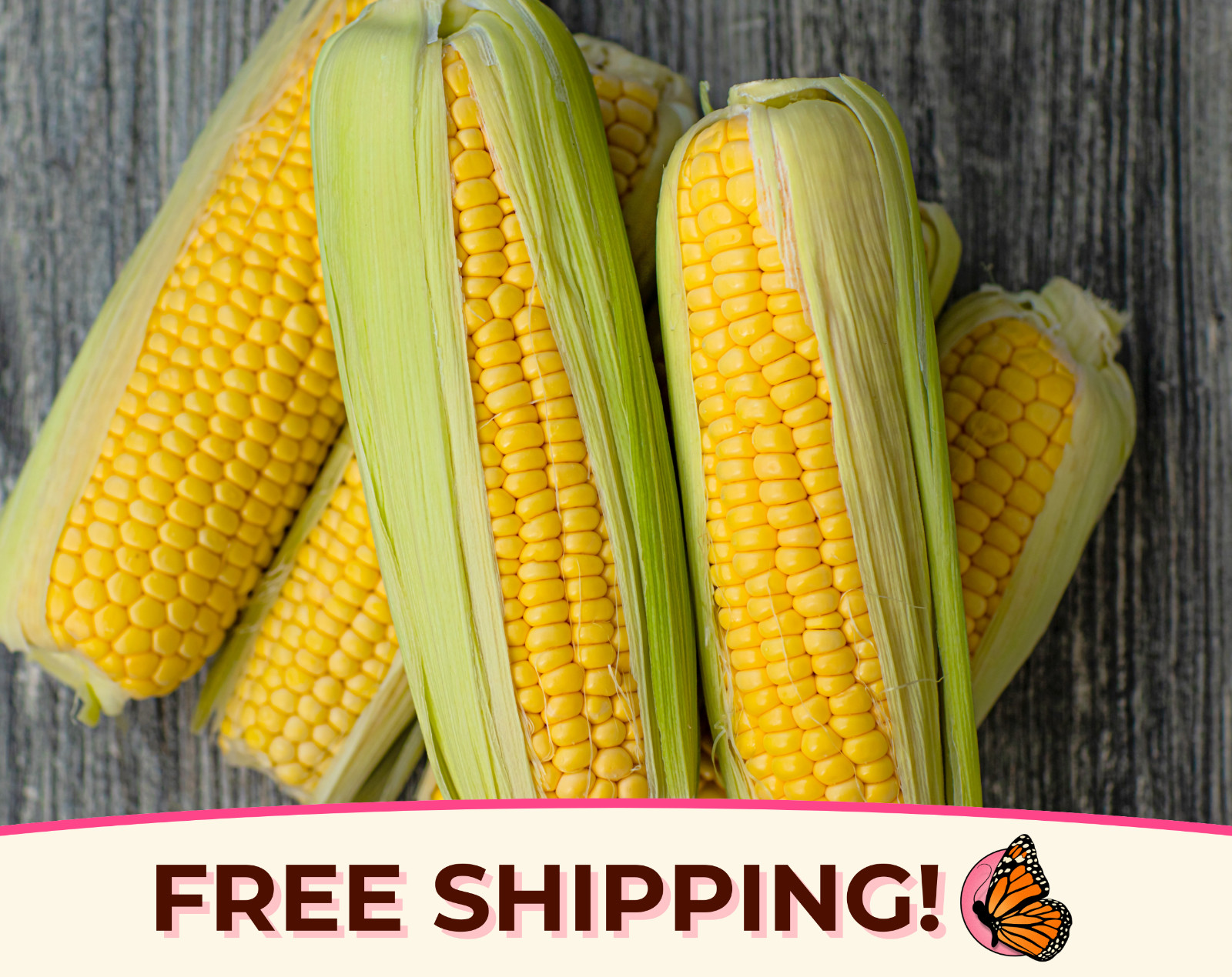 80+ Golden Bantam Corn Seeds | Heirloom, Non-GMO, Vegetable Gardening, USA