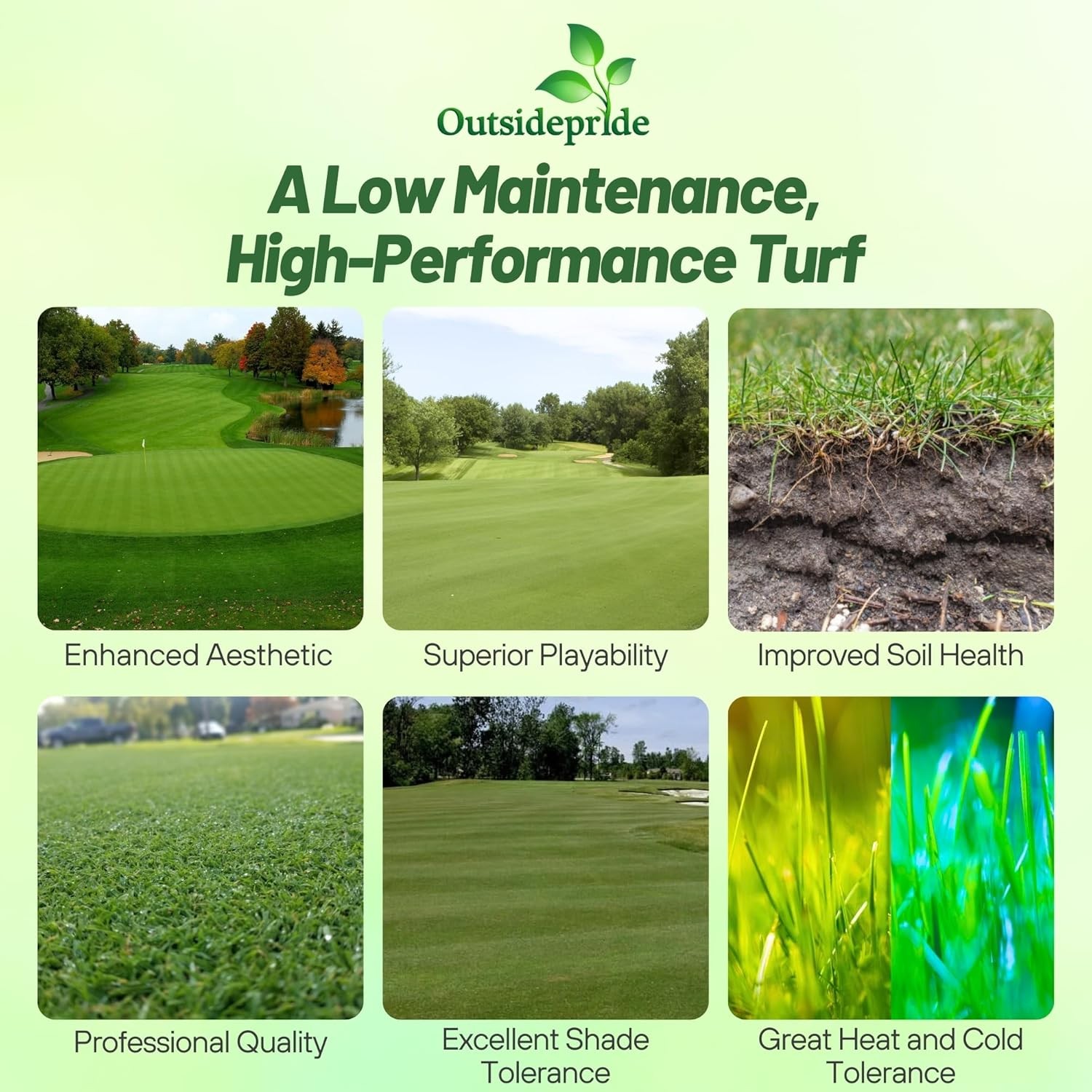 5 LBS Crystal Bluelinks Creeping Bent Grass Seed