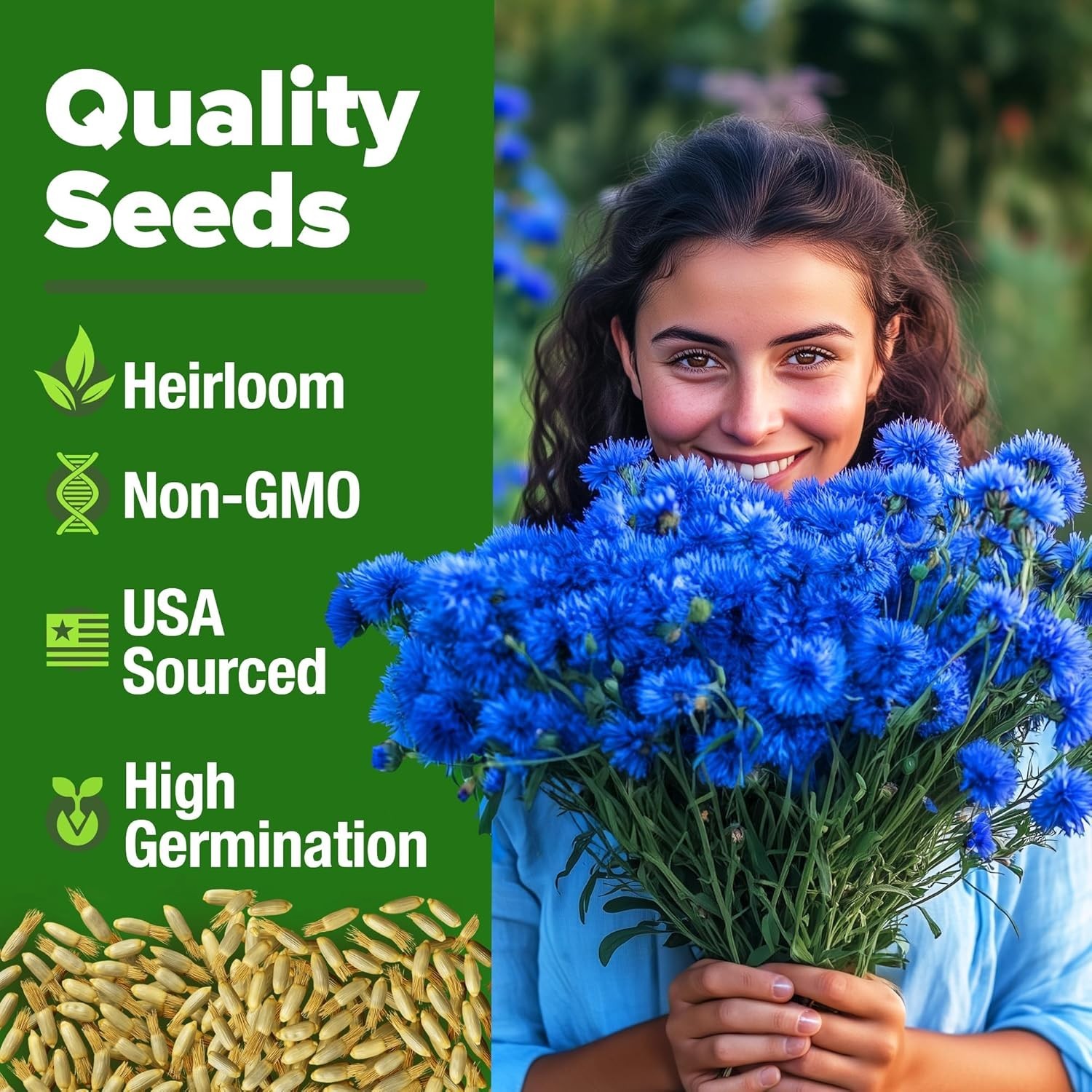 Stunning 6000 Cornflower Seeds – Bachelor Button for Vibrant Wildflower Spaces