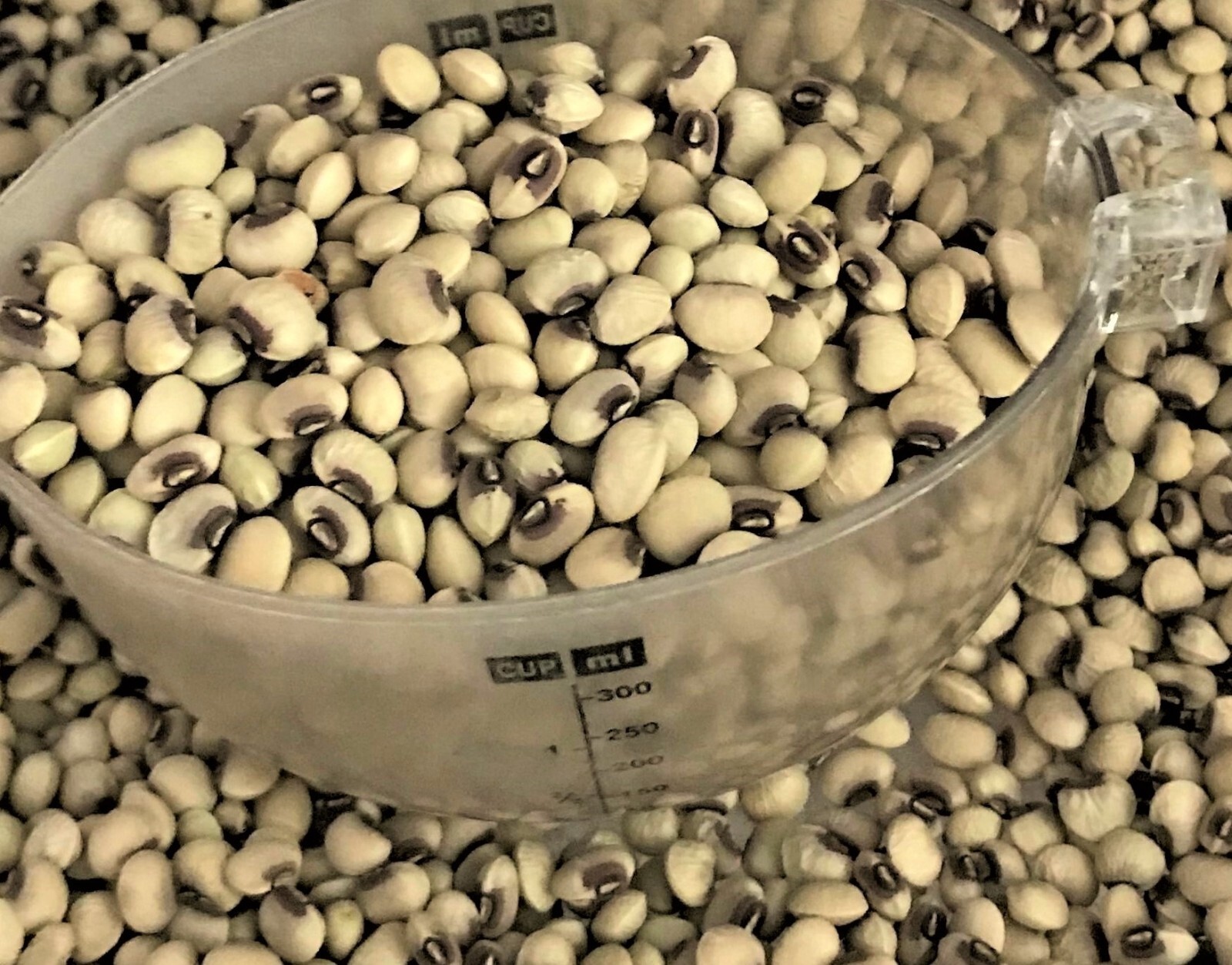 8 oz Pinkeye Purple Hull BVR Cowpeas Benefits St. Jude