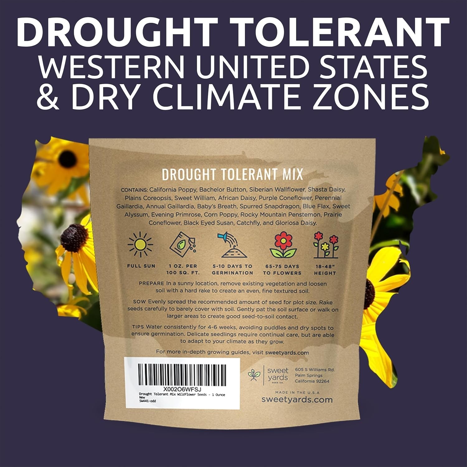 Extra Large Wildflower Seed Mix – Over 21 Species for Colorful Sustainability