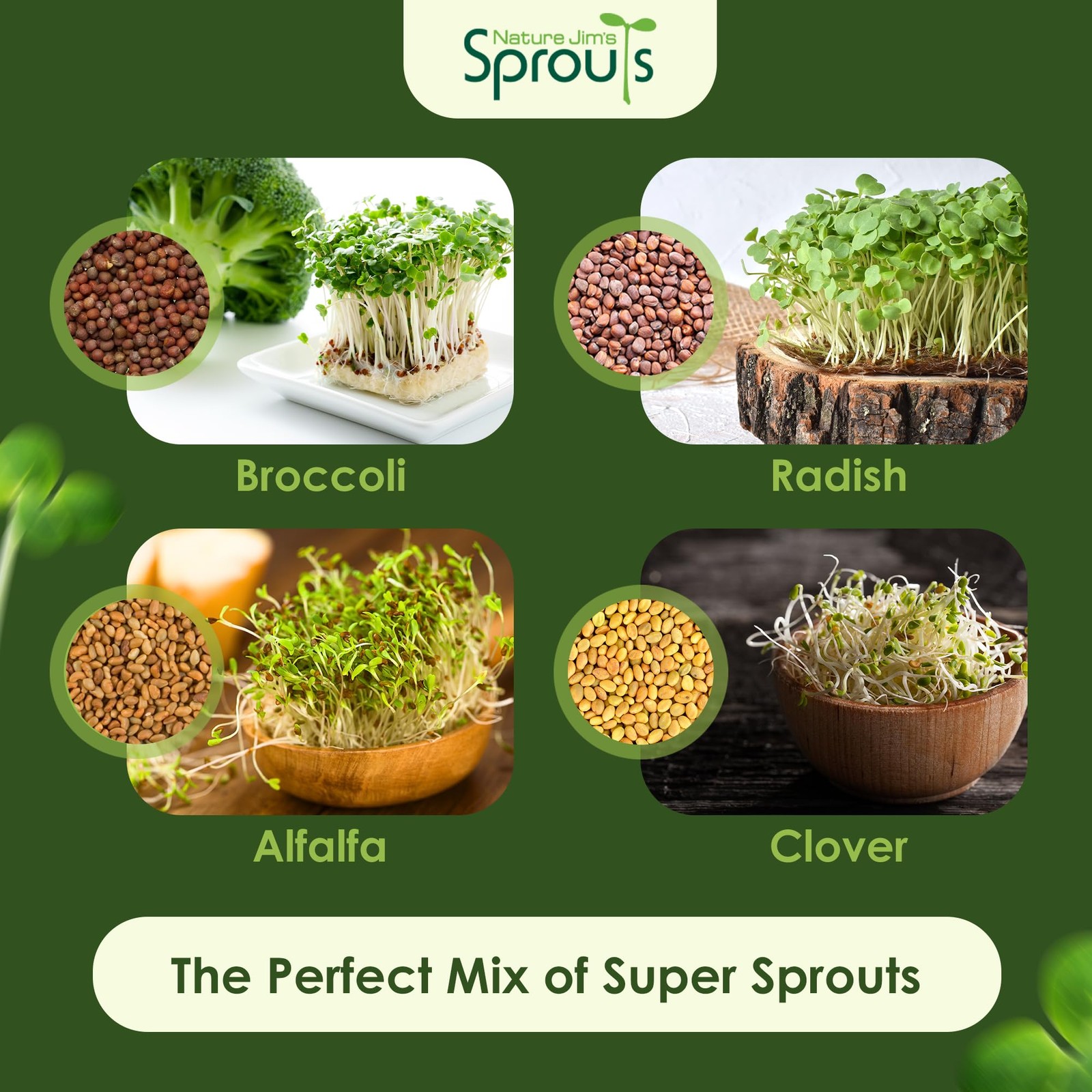 Organic Microgreen Seed Mix – 1lb Non-GMO Broccoli Alfalfa Radish