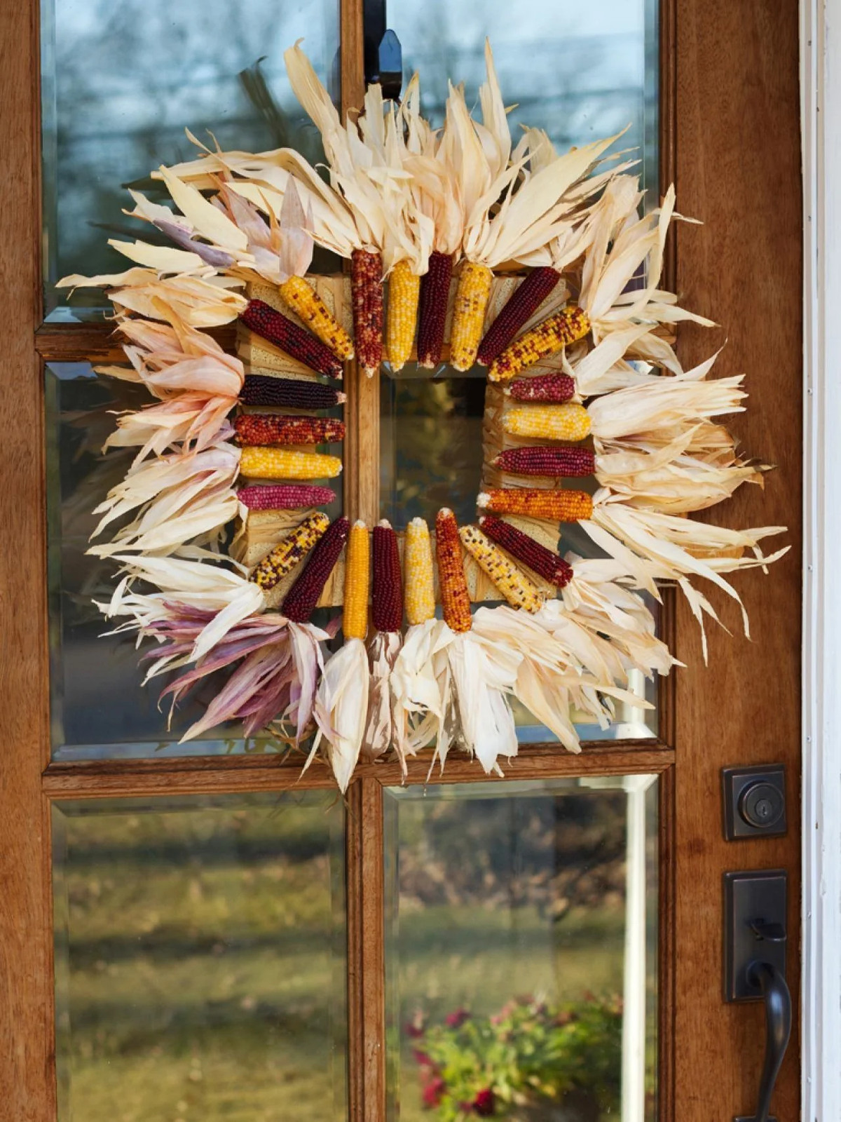 Red Husk Rainbow Ornamental Corn Seeds | Glass Gem Color Flint Popcorn Seed 2024
