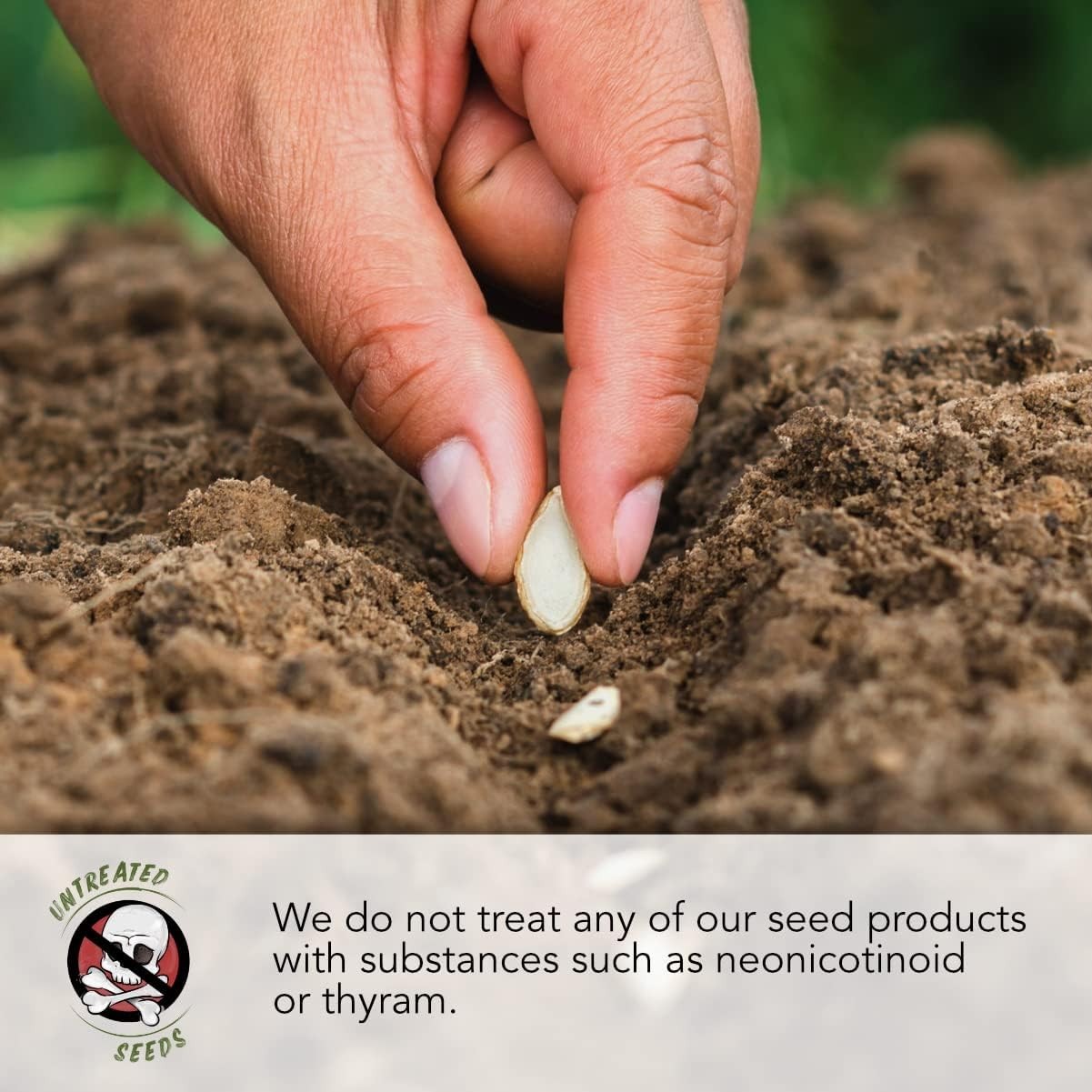 Grow Your Own Heirloom Indoor Herb Garden with 5 Fresh Non-GMO Seed Varieties