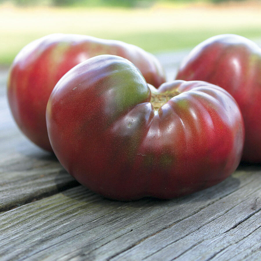 Tomato Seeds: Cherokee Purple Tomato Seeds Fresh Seed FREE Shipping!!!!!