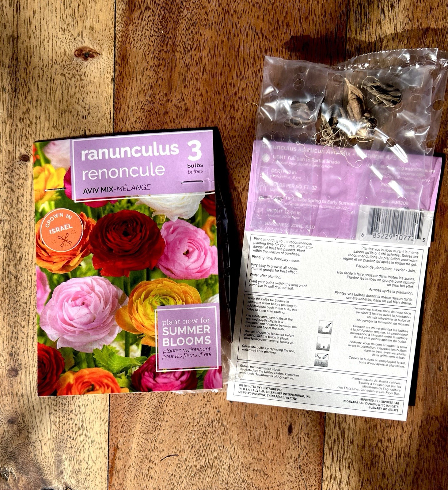 FLOWER SEED PACKS Mixed Lot HOLLAND Vibrant COLOR Varieties 24 Packages BULBS