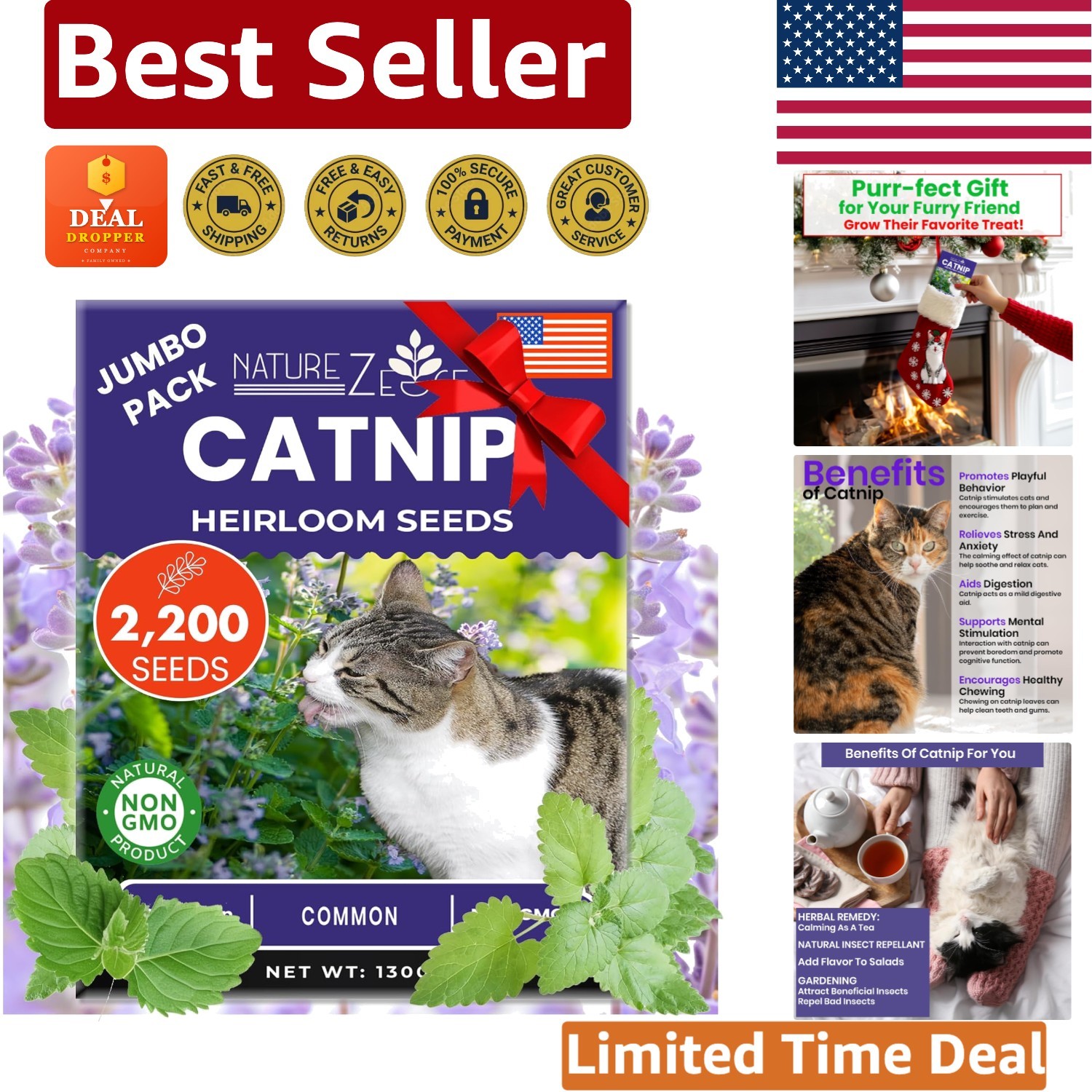 2700+ Non-GMO Catnip Seeds – Vibrant Indoor & Outdoor Garden for Happy Cats