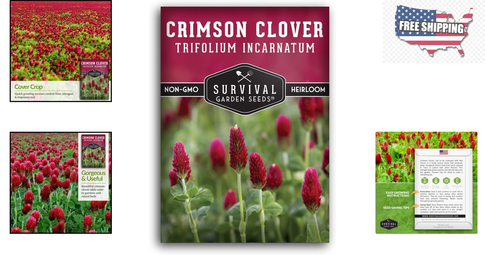 1 Packet of Crimson Clover Seed – Non-GMO Heirloom for Easy Planting & Blooming