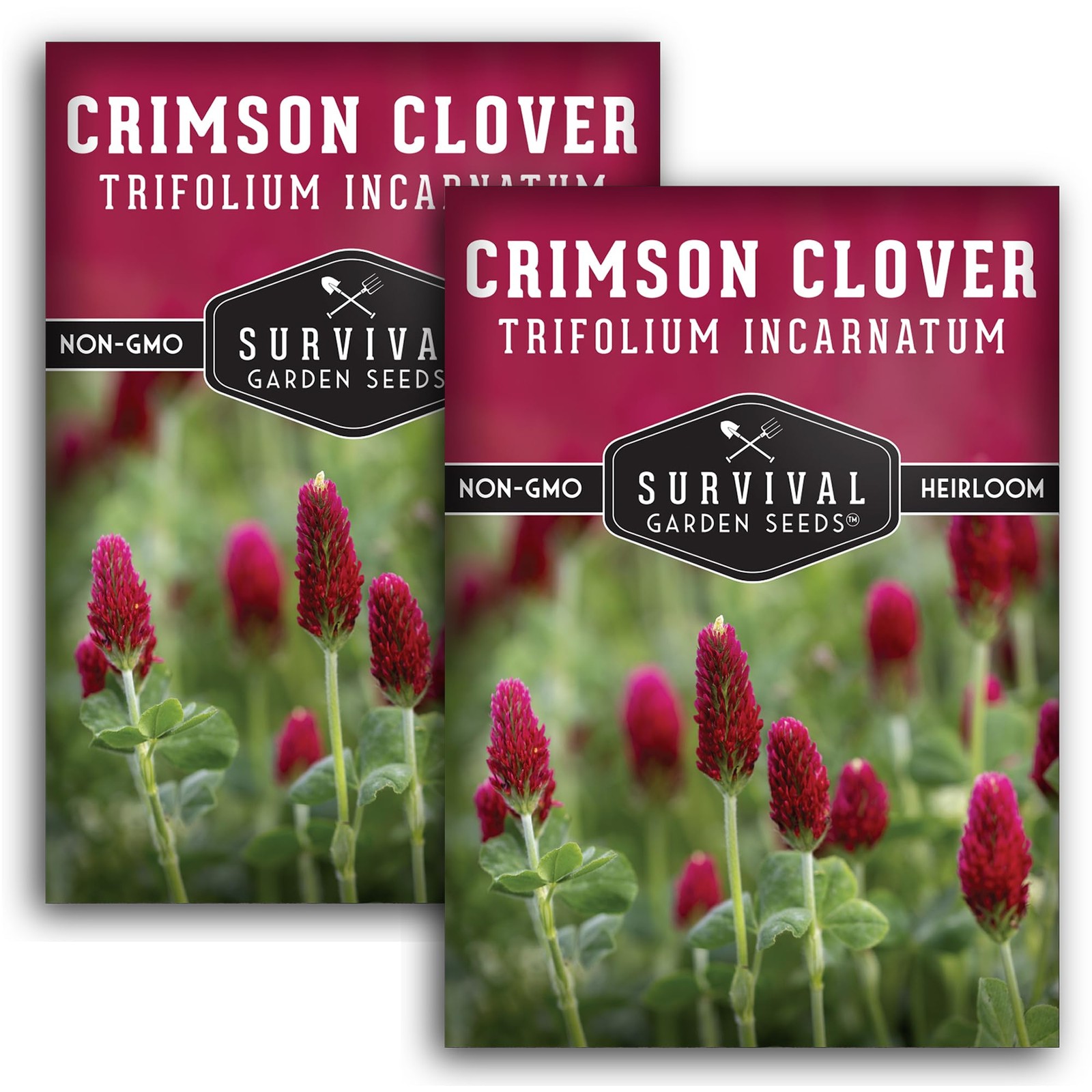 Crimson Clover Seeds Heirloom NonGMO Cover Crop for Soil & Pollinators 2
