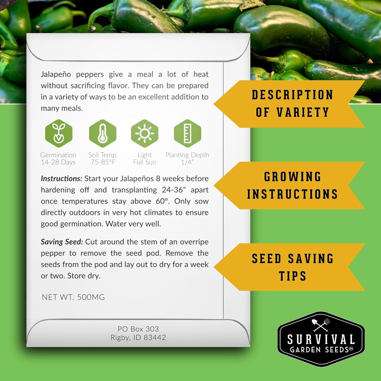 Hot Pepper Seeds Variety Pack 4 Varieties Jalapeno Serrano Cayenne Pepper