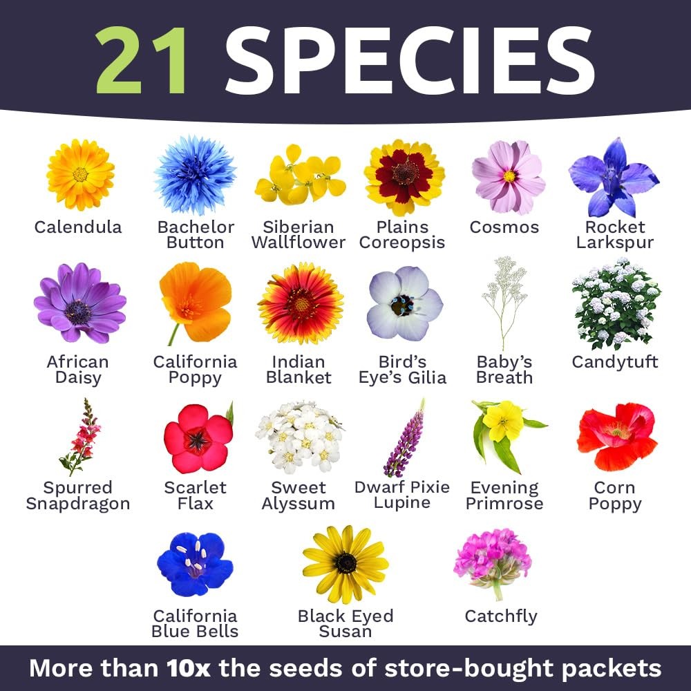 Bulk Wildflower Seeds Quick Blooming Mix 30,000 Open Pollinated Seeds