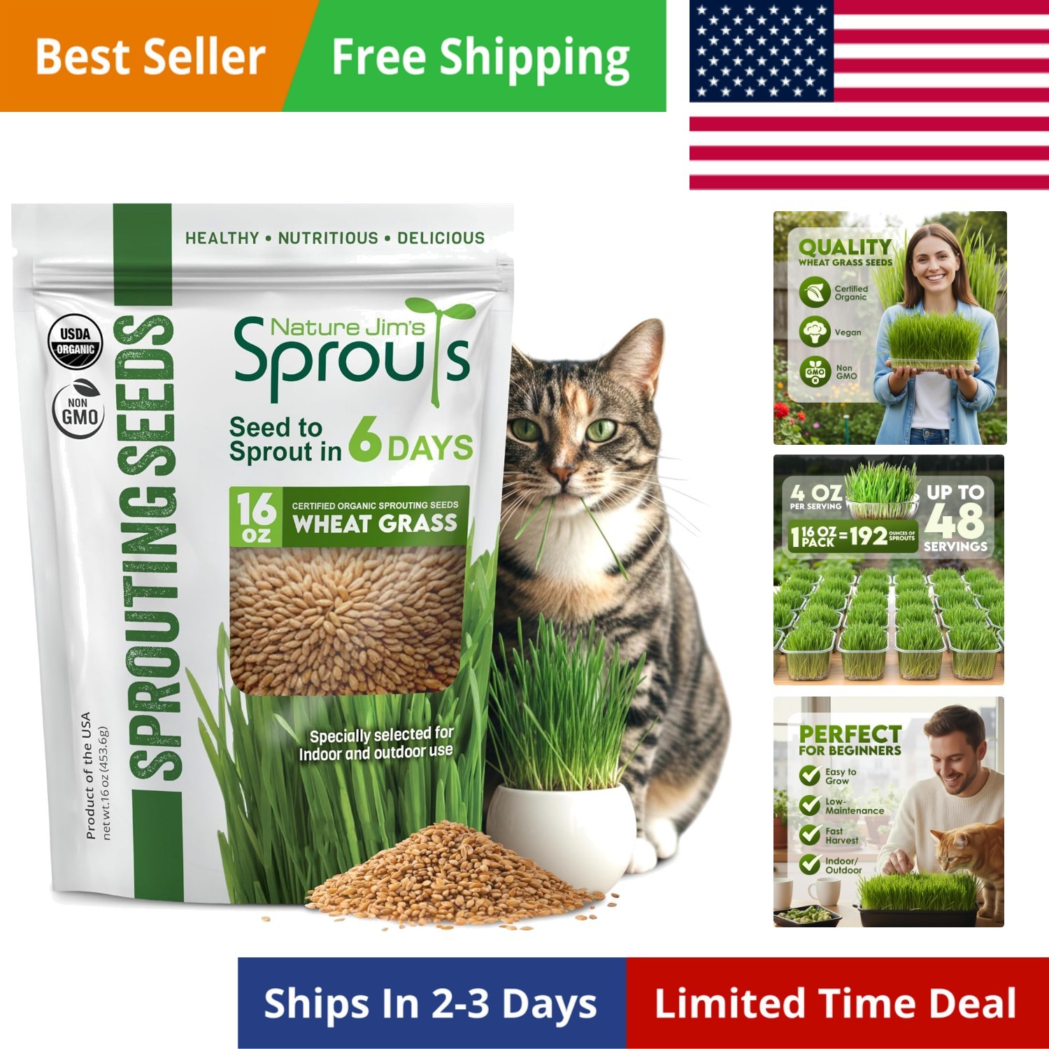 Organic Wheat Grass Seeds – Non-GMO, Cat Grass Treats Sprouting Seeds – Resea…