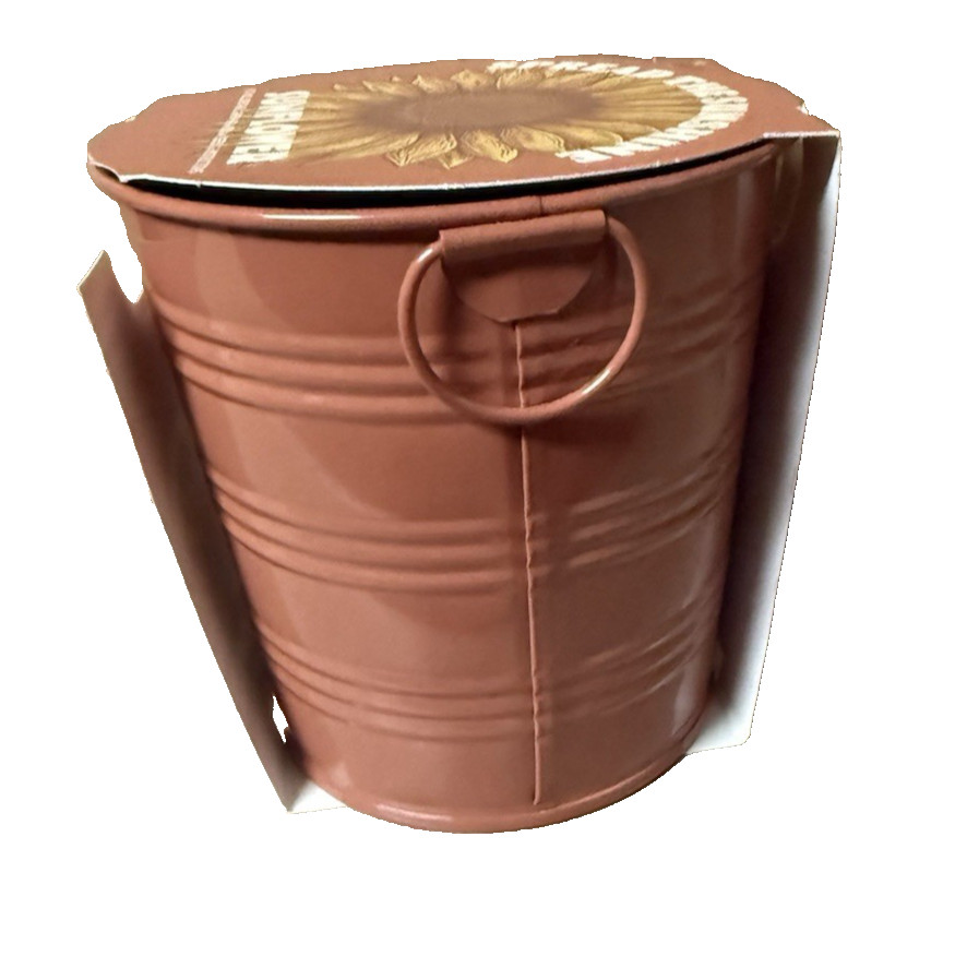 Complete Sunflower Grow Kit in Collectible Tin Pot 4.5″