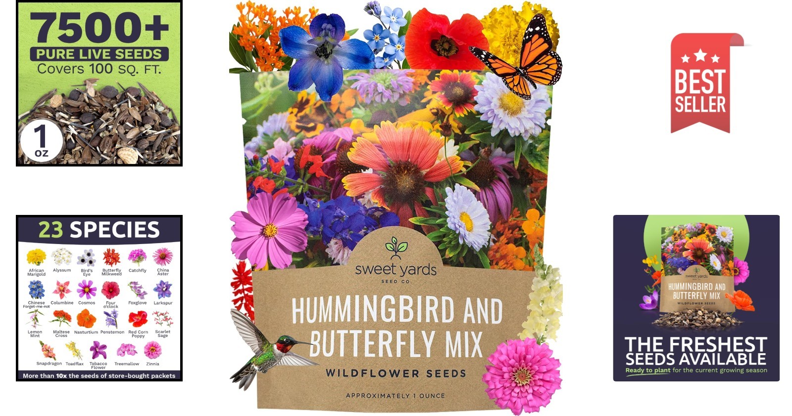 Wildflower Seeds Mix – 7,500+ Heirloom Seeds for Butterfly & Hummingbird Gardens