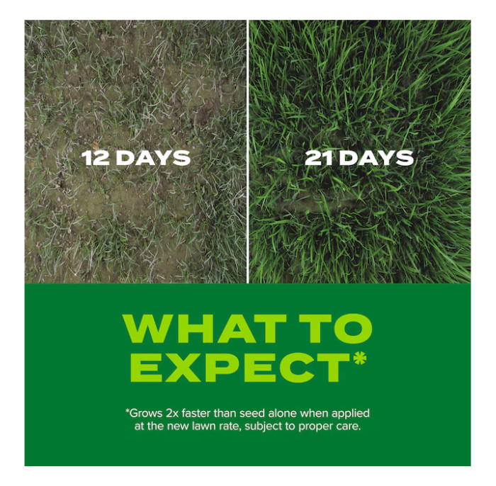 Scotts Turf Builder Rapid Grass Sun Shade 5.6-lb Mixture/Blend Grass Seed,pack 2