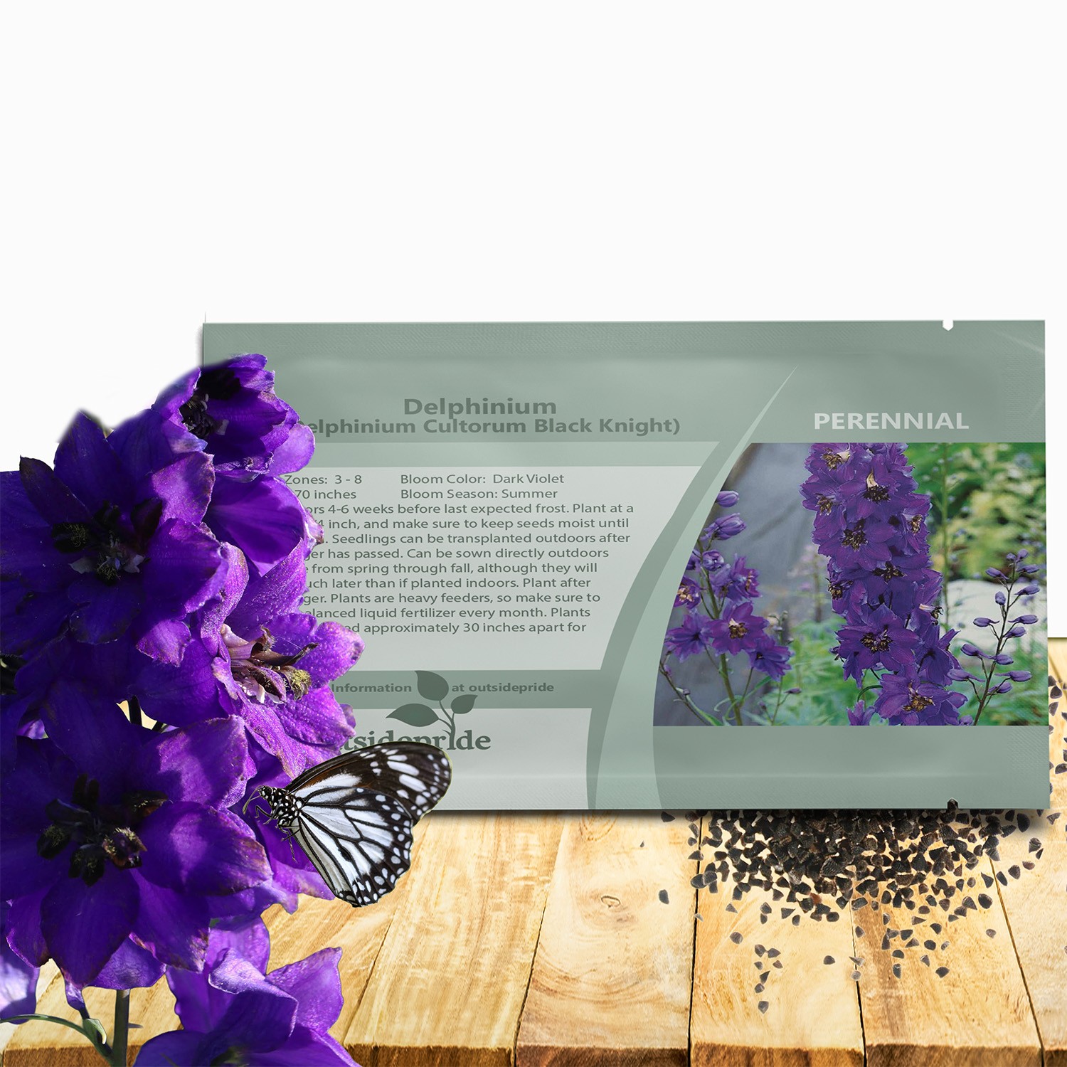 1000 Seeds Delphinium Seeds – Delphinium Cultorum Black Knight Flower Seed