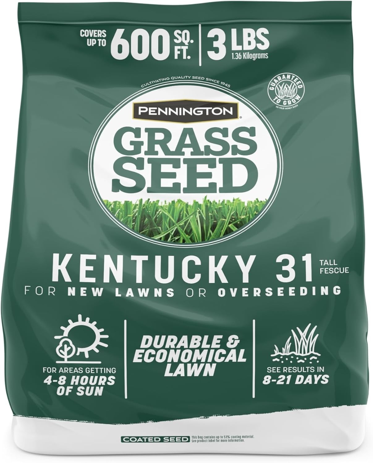 Kentucky 31 Fescue 3 LB Tall Fescue Grass Seed, Grass Seeds for Lawn
