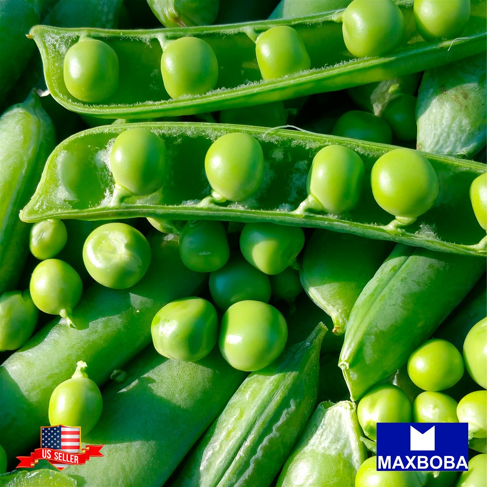 20+ Pea Fresh Seeds – Green Arrow Non-GMO Heirloom BOGO 50% OFF