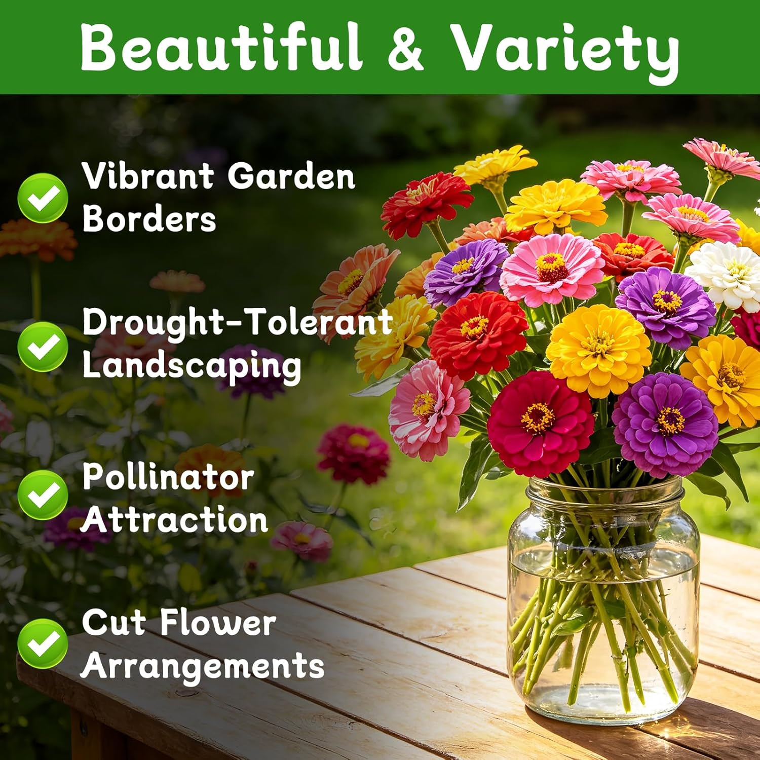 Zinnia Seeds for 2026, 10,000+ California Giant Zinnia Seeds Bulk, Double Dahlia