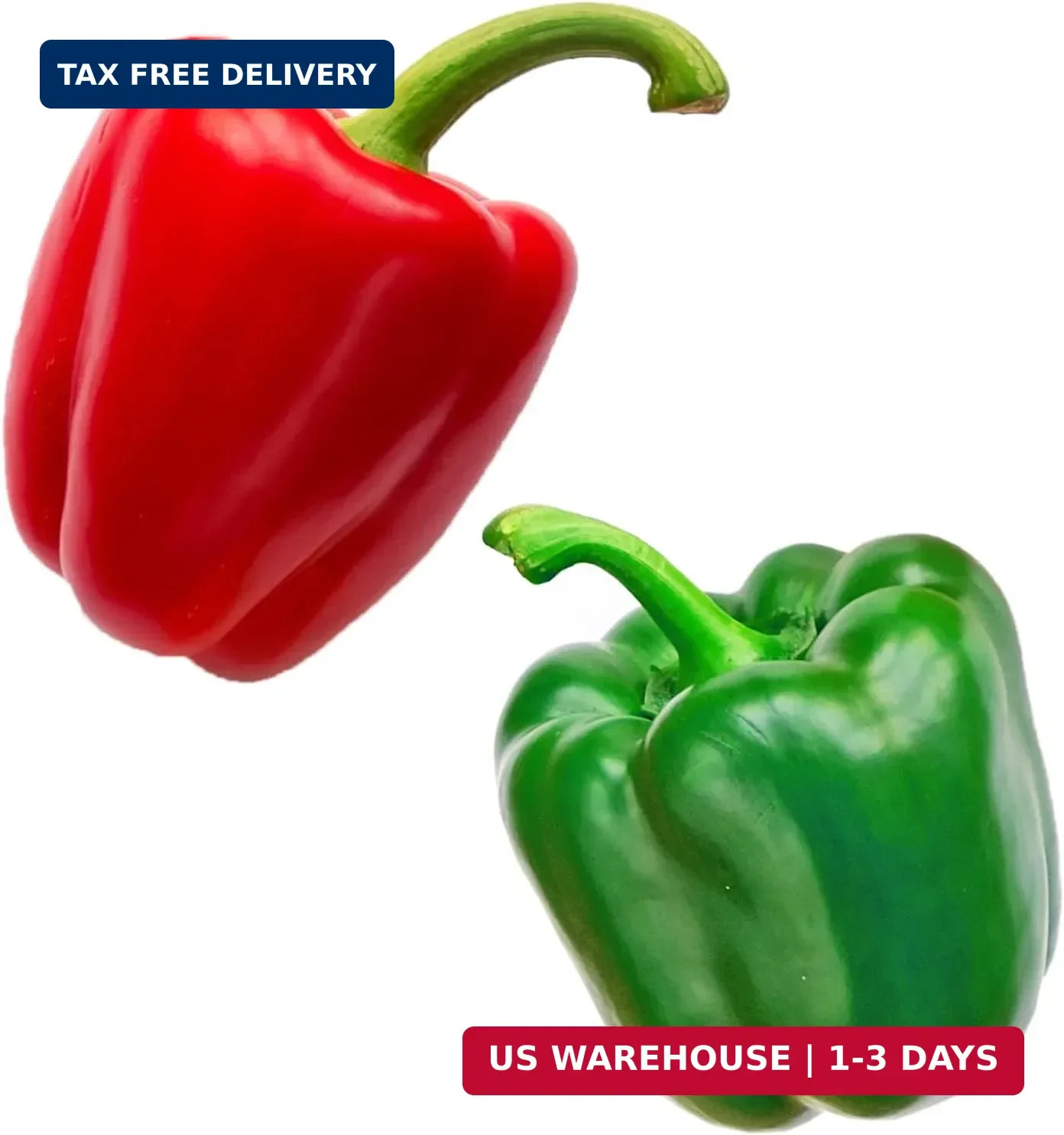 40ct Sweet Bell Pepper Seeds for Planting,Green & Red Bell Pepper,Non-GMO Heirlo