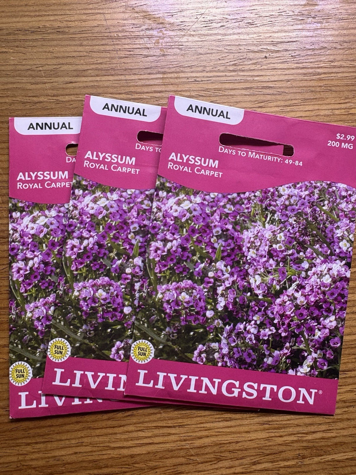 3 PACK BUNDLE Livingston Seed Company Alyssum Royal Carpet Annual Flower Seeds